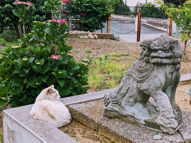 alt="神社 猫 狛犬"